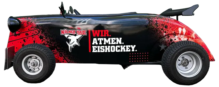 KÖLNER HAIE